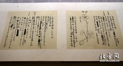 ��֦����������ͬ�鷨����չ��������ݿ�Ļ