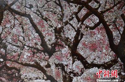 ����ʡ�������ửչ150���ử��Ʒ��������