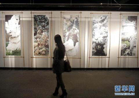 2013���Ի�԰�֡���������չ�������ݿ�Ļ