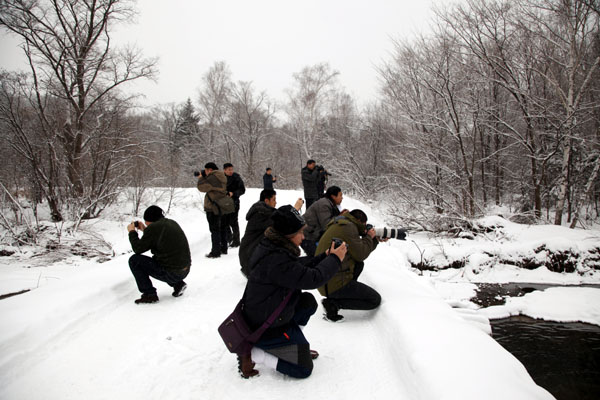 2013��11�±�ѩ������С�˰���д��