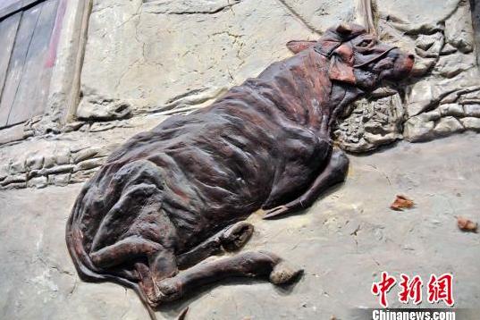 ����������硤����ܻ�չɽ��̫ԭ��Ļ