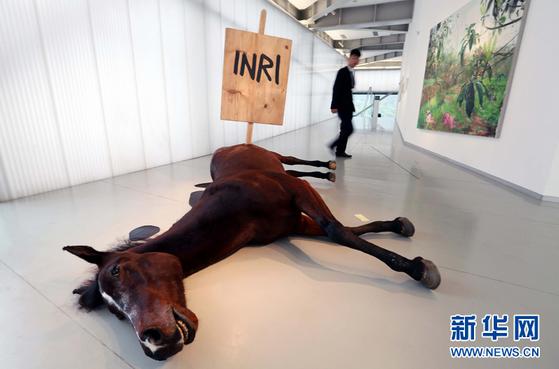 �����Ͼ��ķ����������ݿ���ӭչ