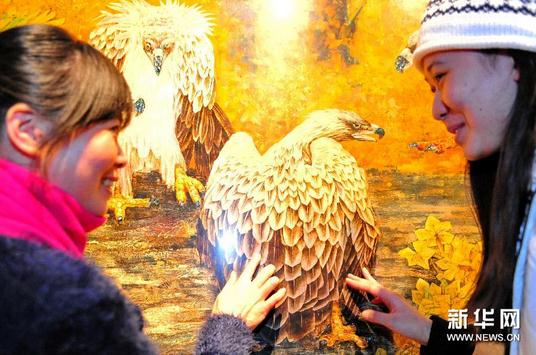 ����ʡ�����ݾٰ���Ĳ��ửˮī��չ