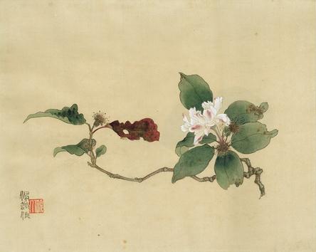 л��������������黭��չ�����཭�ճ���