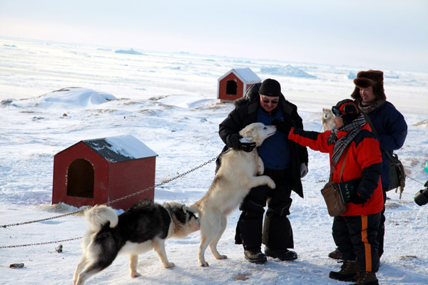 ��־ѧ����Բ��-��־ѧ�ڸ�������¬����������Ŧ���˽���