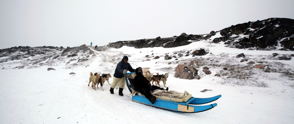 ��־ѧ����Բ��-��־ѧ�ڱ���