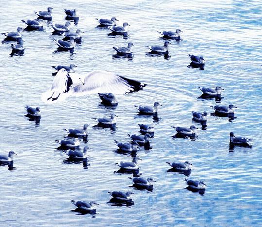 霍然书画艺术展7月28日天津开幕