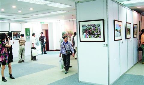 ���������黭��Ӱ�������ǡ�չ��Ļ