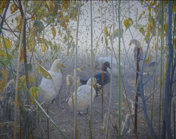 �Ÿ�����ء������ͻ���������չ30�ս���չ��