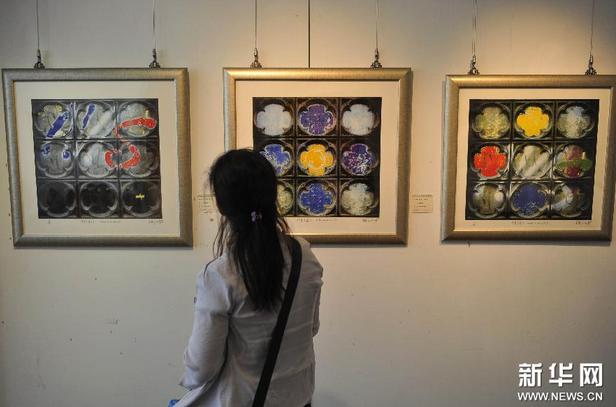 ̨����ѧ��������������չ�ɹ���չ