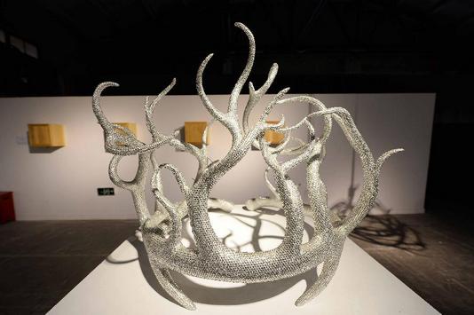 ������ȫ����ѧ�������Ӿ�������Ʒ˫��չ�Ϻ���Ļ