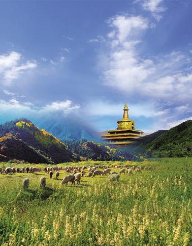 ���־�Ⱦ•����֪���ͻ���¤���л8����������