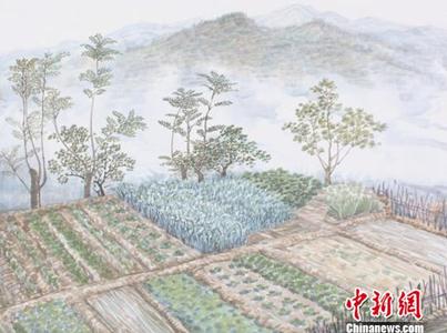 �������������Ϻ�����չ�Ϻ��л���������Ļ