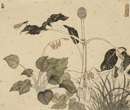 �������д�桱��Ʒ�ڴ�ǧ����չ��