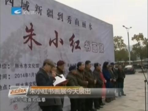 朱小红画展浙江丽水举行