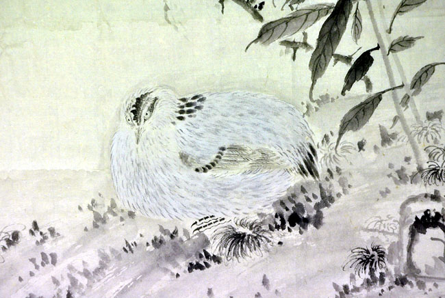 青年女画家王俏花鸟画艺术(高清组图)