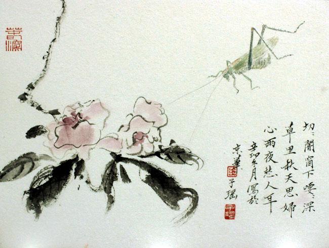 青年女画家王俏花鸟画艺术(高清组图)
