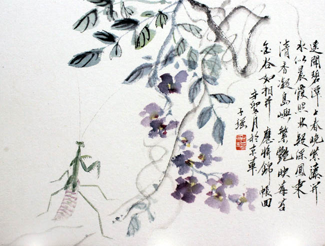 青年女画家王俏花鸟画艺术(高清组图)