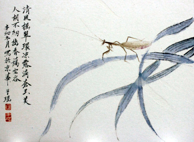 青年女画家王俏花鸟画艺术(高清组图)