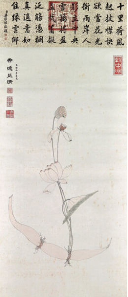 ̵Ϸү黭