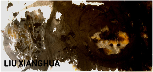 �׾Թ�϶������ˮī����չ������Ĵ�����ī����