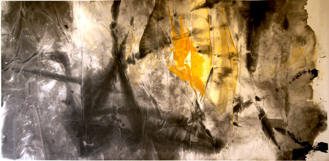 �׾Թ�϶������ˮī����չ������Ĵ�����ī����