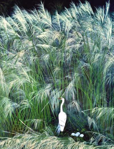 ��400��������Ʒ�����й����ʻ���չ