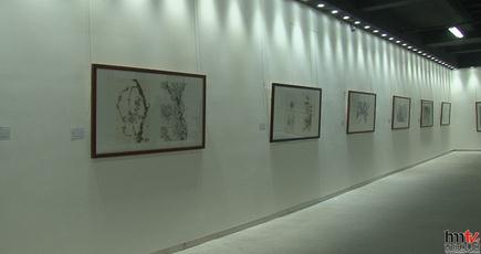 ��ī�����¡���Ͼ�ʿ�滭չ����������Ļ