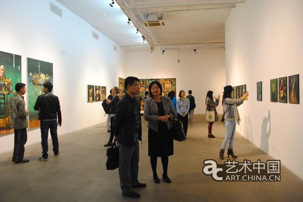 Ų�������һ�ջ�չ����Ԫ�������ݿ�Ļ