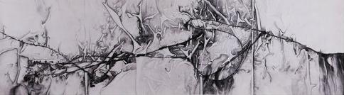 ��������ˮī���й�ˮī˫������չ��������