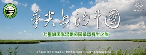 笔尖上的中国·天津七里海国家湿地公园文化之旅在津启动
