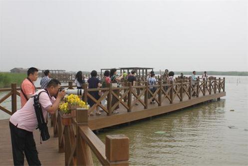 笔尖上的中国·天津七里海国家湿地公园文化之旅在津启动