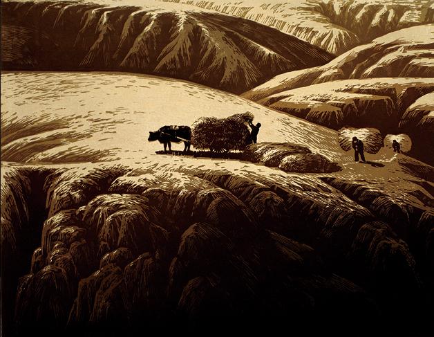 Ҧ�������65����ع�չ������Ѯ���ھ�չ