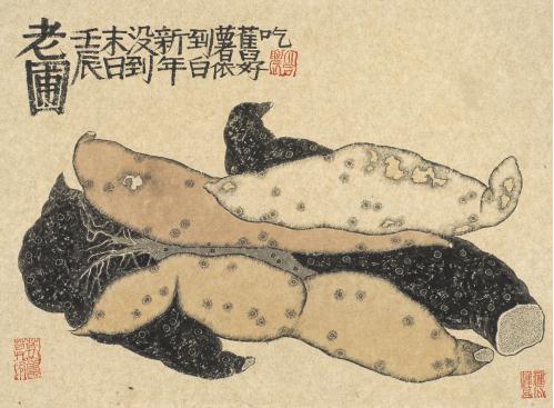 ���������ٰ조�����Ľܡ���չ