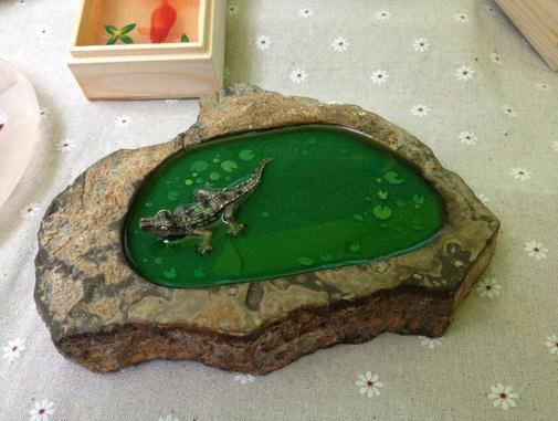 ������ϿѧԺ�ٰ���ȫ����֬����չ