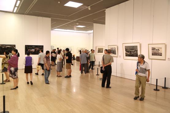 Ҧ���������ƴ�����ʮ����ع˻�չ�ھ���չ