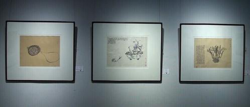 ��һ·ͬ�С����Ϸ��顢����������չ��¡�ؿ�Ļ