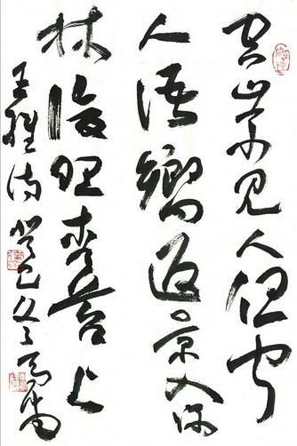 Х鷨Ӧеѡ