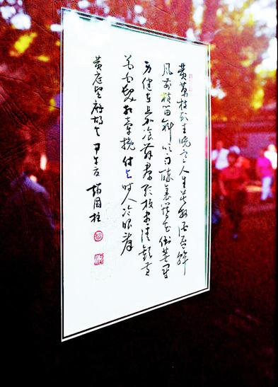 ɽ̫ɽȪչԹ鷨СƷ