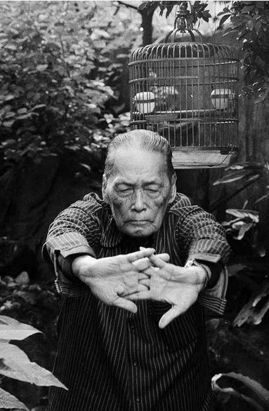 民国画家80年代珍贵留影:瞬间定格真性情
