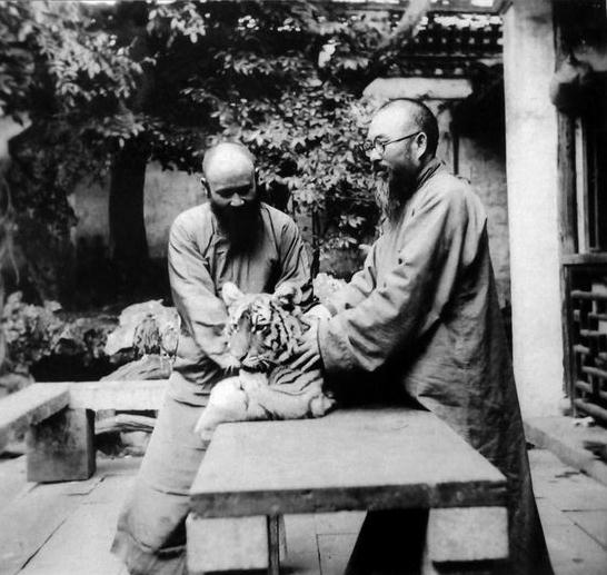 揭秘:张大千兄长张善孖的“绘画抗日”历程