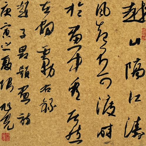 黄君:张旭光的意义