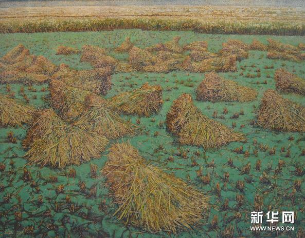 ��ʮ����ȫ����չ�ửչ����������Ļ