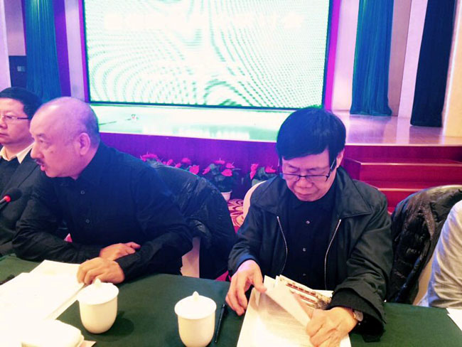 福建画院著名画家谢振瓯先生发言