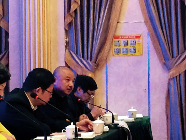广东美院美术馆馆长王见发言