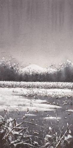 ���Ĺ�����½����2015��۸�չ