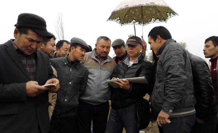 ȫ����������˿·�����ⴴ���½��ɷ�