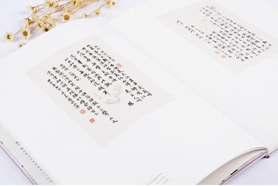 灼灼其华:朱乒乓十年习艺的心路历程