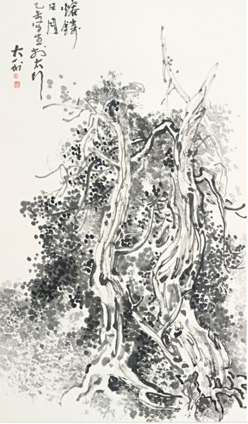 ��ī���̴�����Ʒչ