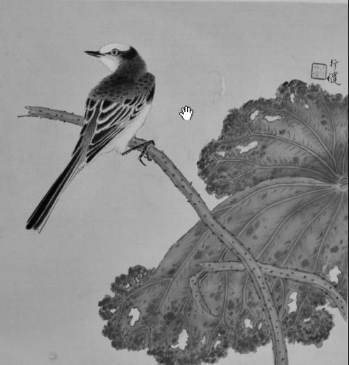 Ǯ�н�����80�����黭չ����